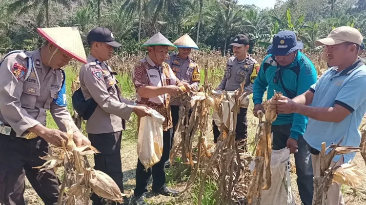 Sinergi TNI-Polri Perkuat Ketahanan Pangan di Lampasio