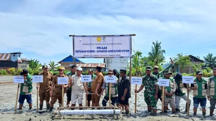 PM-AAS Diharapkan Tingkatkan Indeks Tanam di Buol