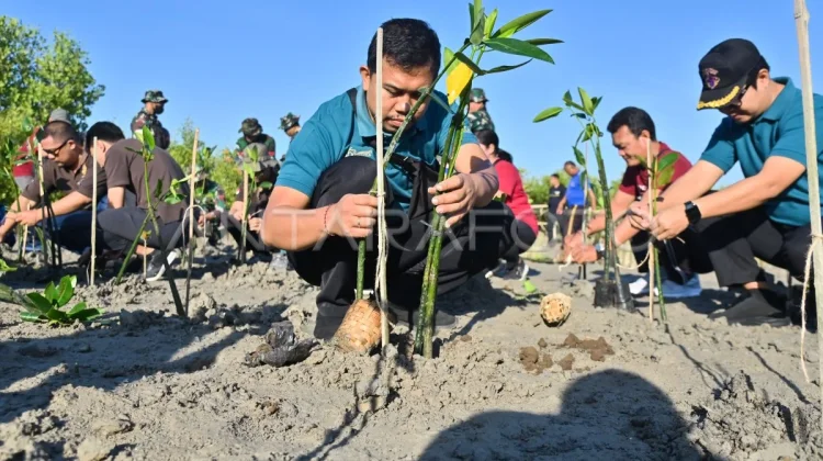 Hari Mangrove Sedunia, Momentum Jaga Pesisir dari Abrasi