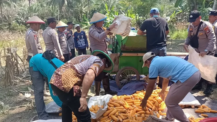 Polri dan Pemda Lampasio Perkuat Sinergi Ketahanan Pangan