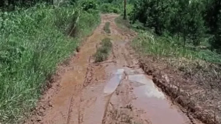 Infrastruktur Jalan Transmigrasi Tolitoli Terus Ditingkatkan