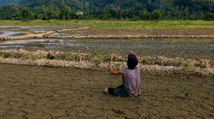 Krisis Air Ancam Lahan Persawahan di Kecamatan Galang