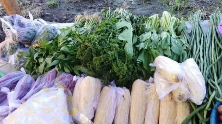 Pasokan Sayur Mayur di Pasar Kampung Bugis Terbatas sebab Kemarau
