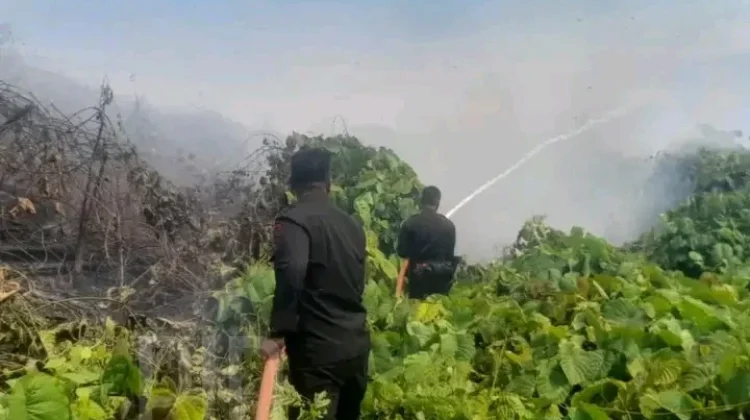 Brimob Padamkan Kebakaran Lahan di Kelurahan Nalu