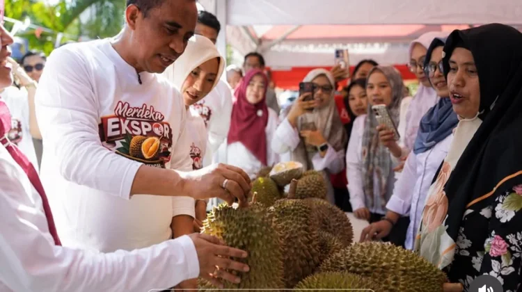 Kementan Salurkan 14 Ribu Bibit Durian Bersertifikat ke Sulteng