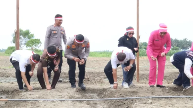 Polres Parimo Tanam Bawang Putih Dukung Ketahanan Pangan