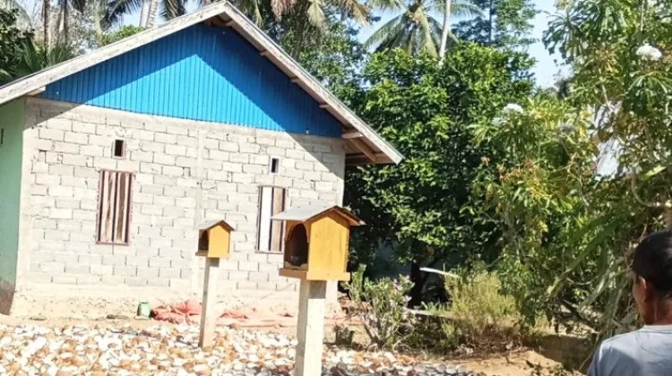 DPKP Buol Perkuat Pendataan Sawit untuk Legalitas Petani