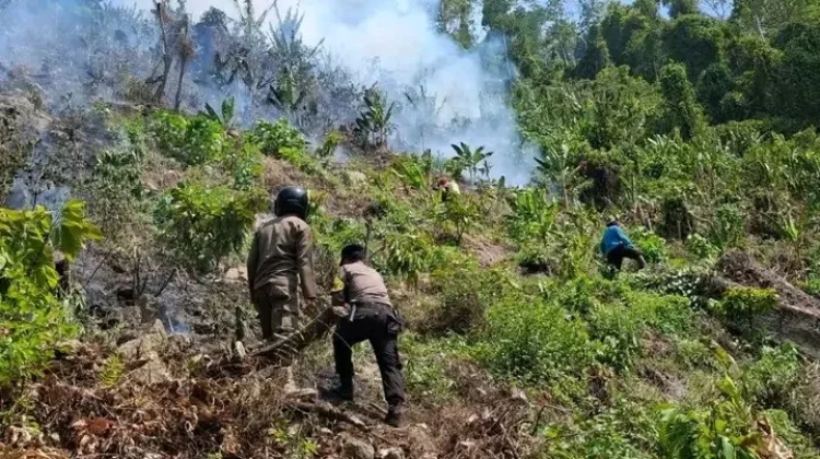 Bara di Lereng Sausu, Polisi dan Warga Berpacu Jinakkan Api