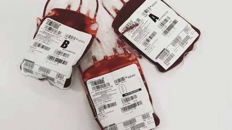 Kampung Donor Darah PMI Kota Jambi Terbentuk di 26 Kelurahan