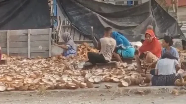 Petani Kelapa Buol Jaga Mutu Kopra untuk Perkuat Daya Saing