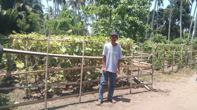Warga Buol Manfaatkan Pekarangan untuk Ketahanan Pangan