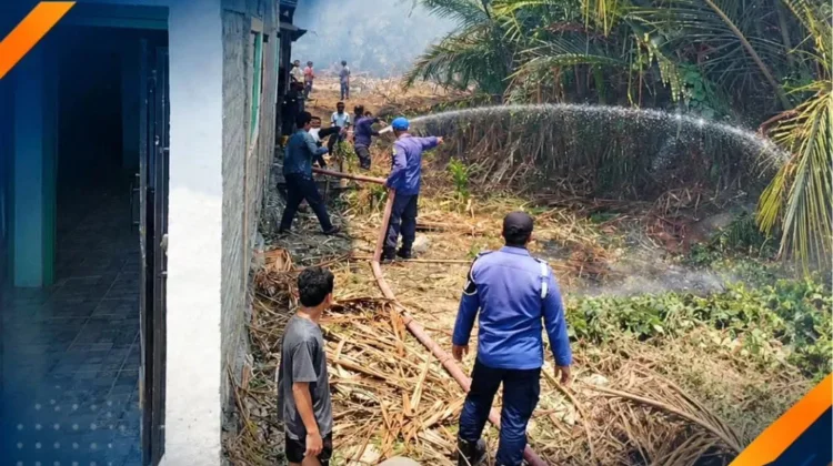 Kebakaran Lahan Sagu dan Sawah Melanda Dua Kelurahan di Buol