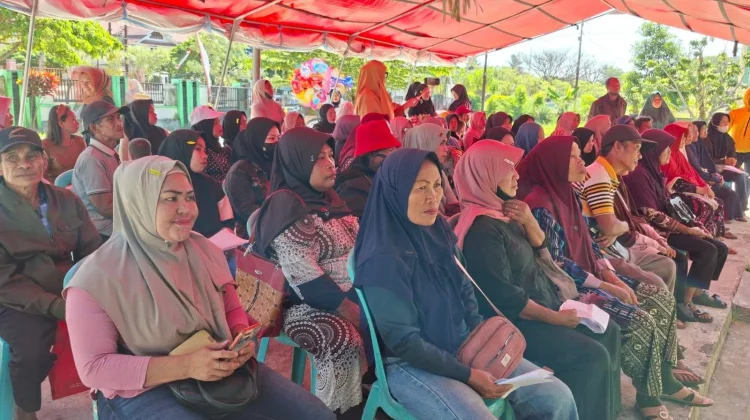 Masyarakat Tolitoli Bisa Cek Data Bansos lewat Aplikasi