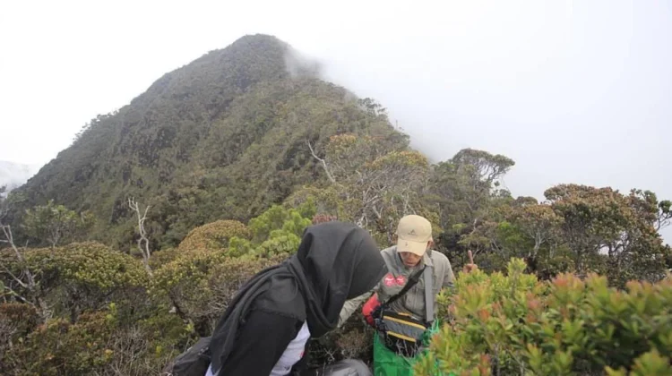 Mapala Untad Dorong Pendakian Berbasis Wisata Alam