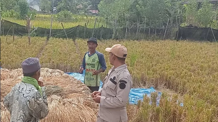 BMKG Tolitoli Imbau Warga Waspadai Potensi Kebakaran Lahan di Musim Panas