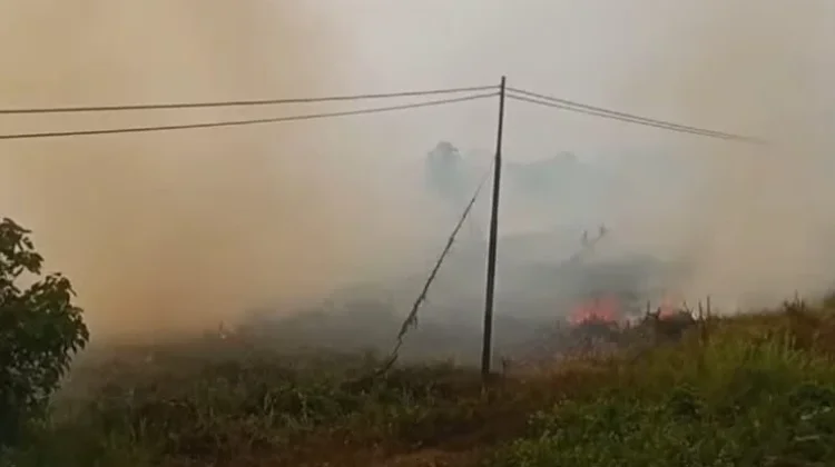 Sejumlah Wilayah di Tolitoli Diselimuti Asap, Penyebab Belum Diketahui Pasti
