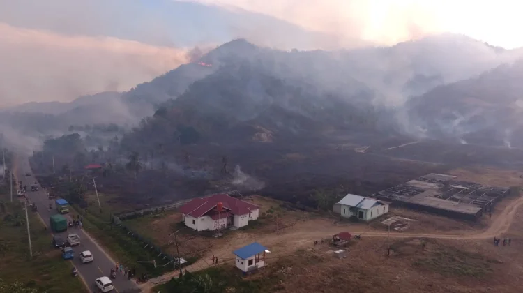 Kabut Asap Menebal, Dinkes Parigi Moutong Pantau Gangguan Pernapasan