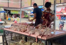 Ramadan Tingkatkan Penjualan Ayam Frozen di Tolitoli