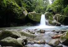 Air Terjun Malangga, Pesona Alam di tengah Hutan Tropis Kabupaten Tolitoli