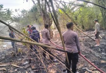 Lahan Perkebunan Milik Warga Bambalemo Terbakar