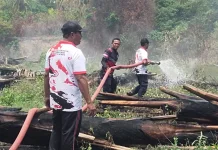 Kebakaran Lahan BUMDes Baliara, Api Berhasil Dipadamkan Petugas