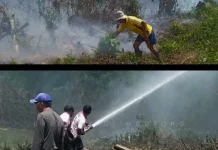 Dua Karhutla Terjadi di Parigi Moutong Sekaligus