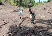 Desa Balaroa Tingkatkan Ketahanan Pangan Bersama Babinsa