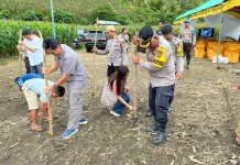 Polres Buol Gelar Penanaman Jagung Serentak Kuartal I 2026