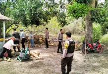Kapolsek Parigi Pimpin Patroli Intensif di Wilayah Rawan Karhutla