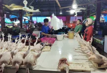 Naiknya harga ayam potong menyebabkan lapak penjual ayam sepi pembeli