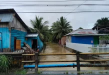 BPBD Buol Imbau Masyarakat Waspada Cuaca Ekstrem