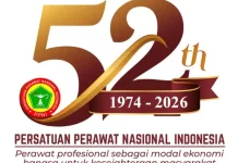 Hari Perawat Nasional, Sejarah Persatuan Perawat Indonesia
