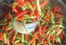 jelang Lebaran Harga Cabai Rawit Tembus di Angka 55.000 Rupiah