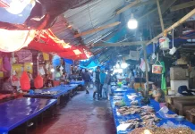 Harga Ikan Pasar Susumbolan Belum Stabil