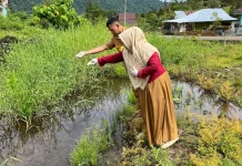 Puskesmas Galang Tetap Awasi Malaria meski Nihil Kasus