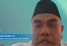 Tolitoli Surplus beras 3.226 Ton, Ketahanan Pangan Jamin Pasokan 6 bulan
