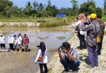 Gerakan Tanam Nasional di CSR Desa Bajugan.