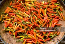 Harga Cabe Rawit di Pasar Kampung Bugis Buol, Tembus 75 ribu per Kilogram