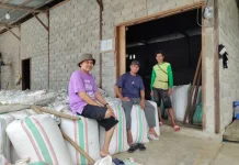 Harga Karung Melonjak, Petani Tolitoli Terdampak imbas Konflik Global