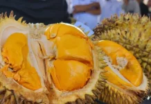 Sulteng Targetkan Transformasi Ekonomi lewat Industri Durian