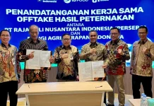 Kementan Percepat Hilirisasi Ayam, Tekankan Aksi Nyata