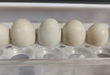 Beberapa manfaat telur bebek untuk kesehatan