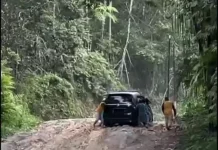 Jalan Rusak di Pasir Putih Dikeluhkan Pengendara, DPRD Minta Segera Ditangani