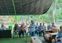 Pintu Air Tende Lalos Dibuka, Petani Mulai Tanam