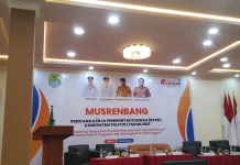 Pertumbuhan Ekonomi Sulawesi Tengah Peringkat Kedua Nasional Tahun 2025
