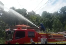 Dampak Kemarau, Kebakaran Lahan Terjadi di KM 2 Sidoarjo