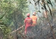 Camat Tolitoli Utara Imbau Warga Waspadai Karhutla saat Cuaca Panas