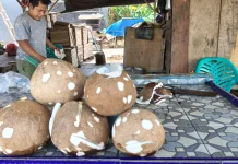 Sukri Bertahan Usaha Gilingan Kelapa di Tengah Persaingan