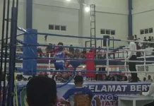 Atlet Tinju Tolitoli Ukir Prestasi di Kejuaraan Bupati Sangihe Cup 2026