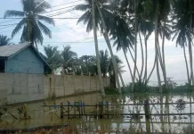 BMKG Tolitoli Imbau Warga Waspada Gelombang Pasang
